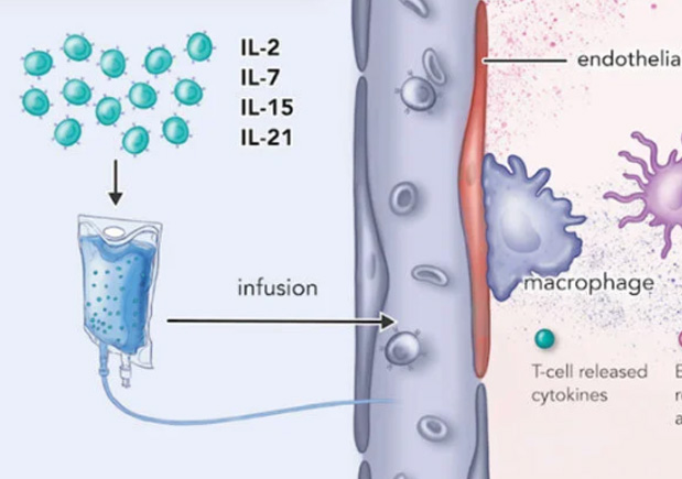 CAR T-cell therapy process medical illustration for Quanterix whitepaper