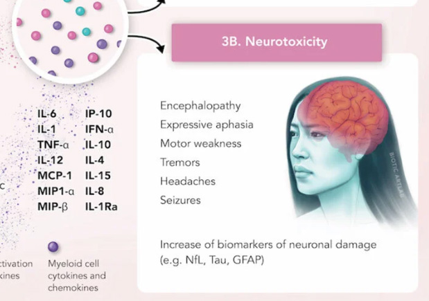 CAR T-cell immunotherapy mechanism illustration for Quanterix