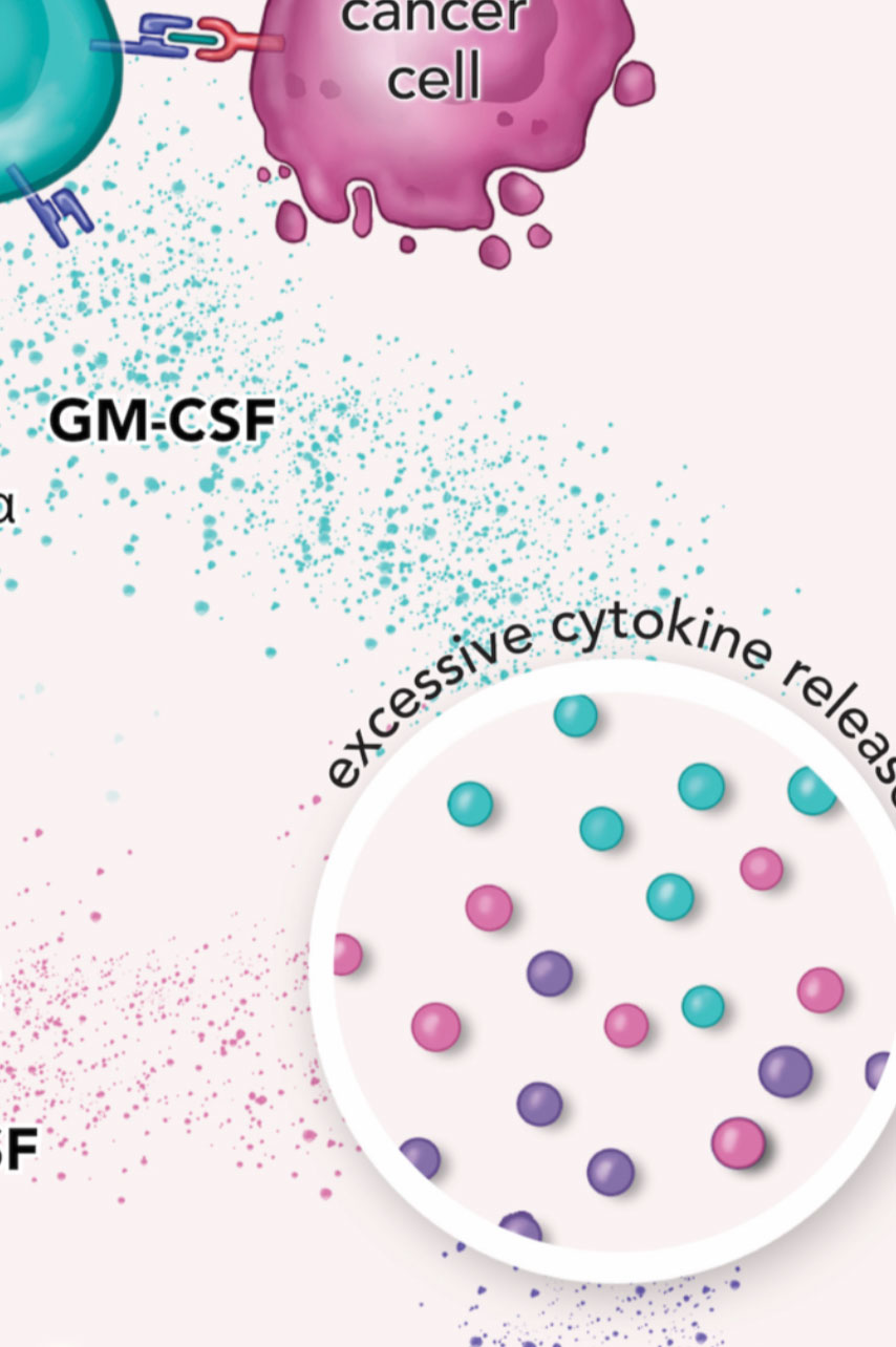 CAR T-cell therapy whitepaper illustration – panel 4