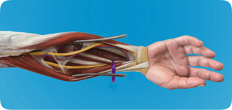 Medical illustration website interface design element