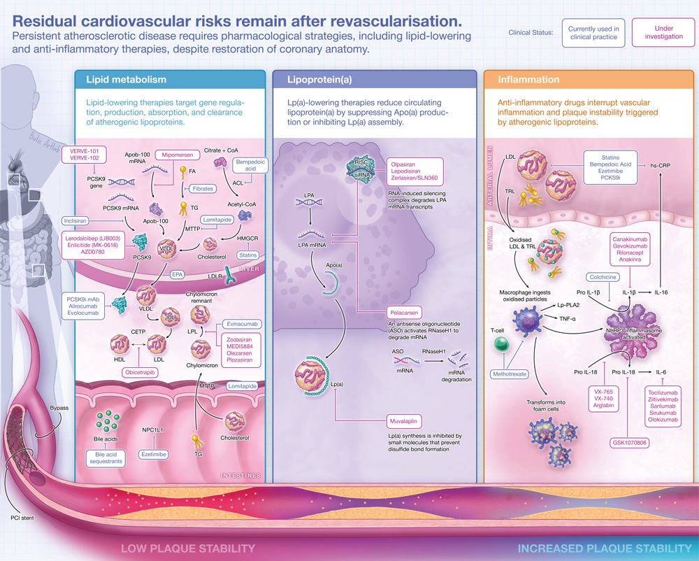 Pharmacological strategies or residual risk reduction Eurointervention Biotic Artlab