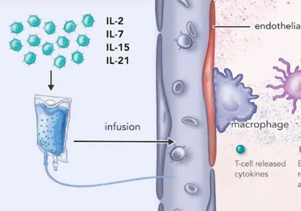 CAR T-cell therapy process medical illustration for Quanterix whitepaper