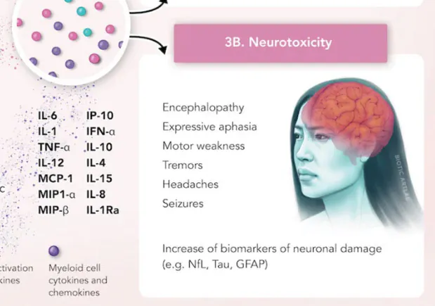 CAR T-cell immunotherapy mechanism illustration for Quanterix