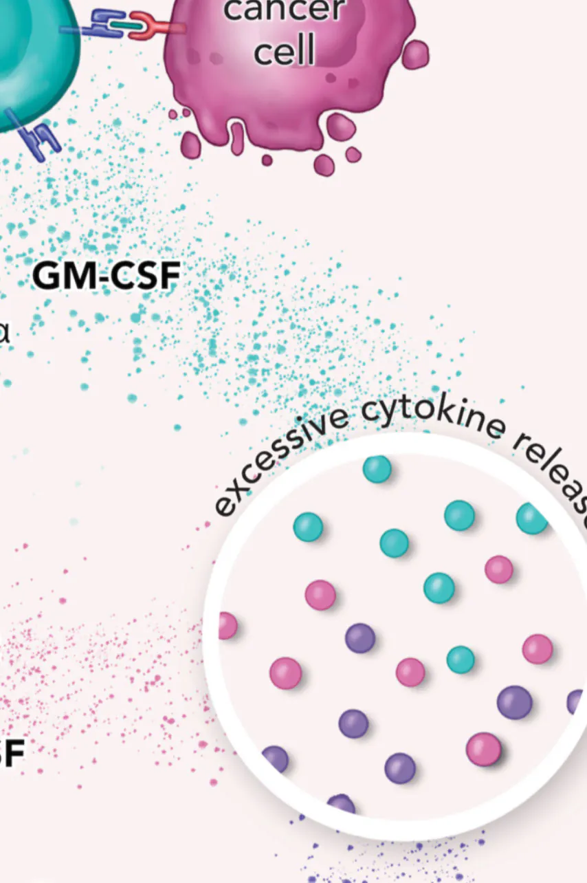 CAR T-cell therapy whitepaper illustration – panel 4