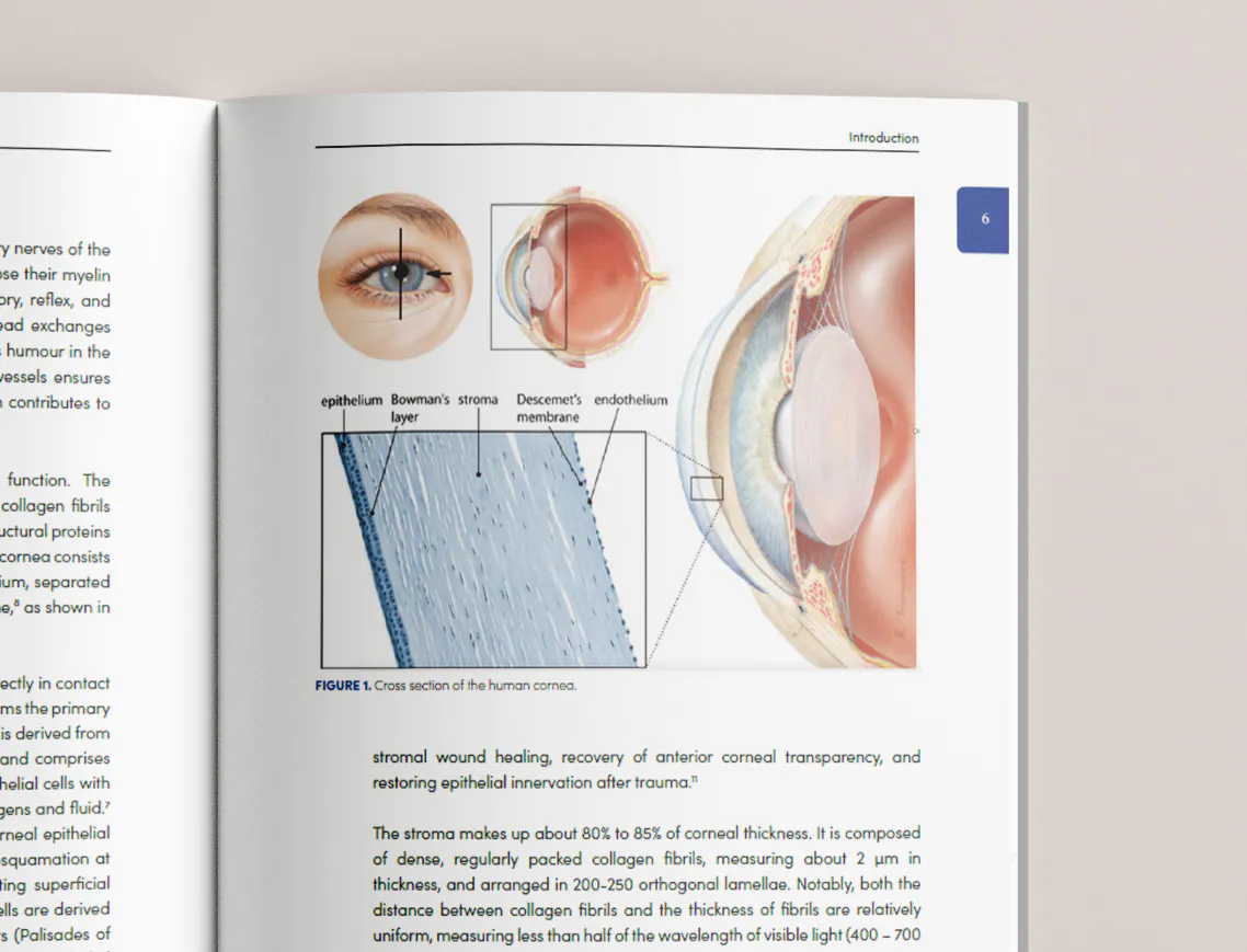 Endothelial keratoplasty PhD book cover design with medical illustrations