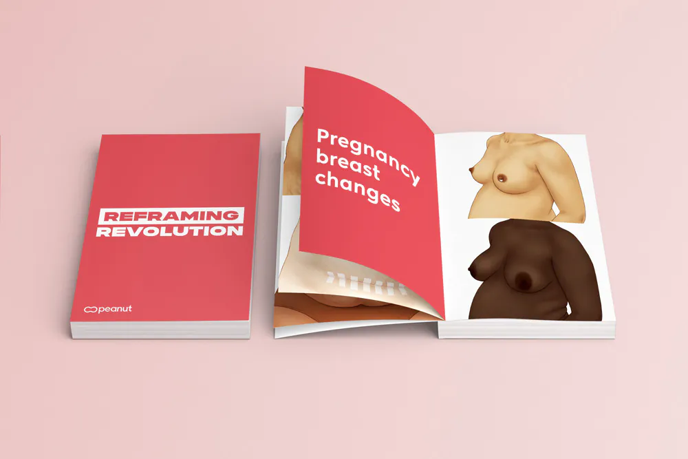 Medical illustration of breast changes during pregnancy – diverse skin tones for Peanut app